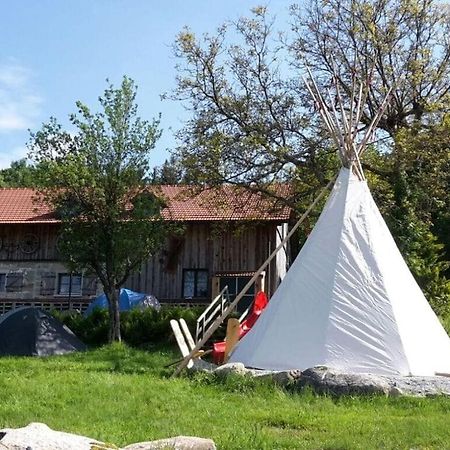 Schauberger Hut Mountain Hut Waldkirchen Εξωτερικό φωτογραφία